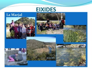 EIXIDES
La Marjal
 