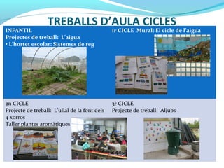 TREBALLS D’AULA CICLES
INFANTIL
Projectes de treball: L’aigua
• L’hortet escolar: Sistemes de reg
1r CICLE Mural: El cicle de l’aigua
2n CICLE
Projecte de treball: L’ullal de la font dels
4 xorros
Taller plantes aromàtiques
3r CICLE
Projecte de treball: Aljubs
 