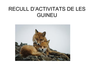 RECULL D’ACTIVITATS DE LES
GUINEU
 