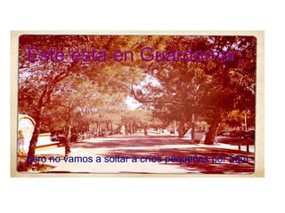 Este está en Guardamar;   pero no vamos a soltar a críos pequeños por aqu í 