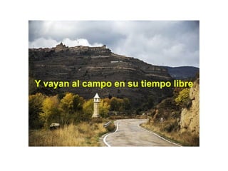 Y vayan al campo en su tiempo libre 