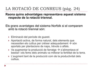 Cultiusd’arrel (naps)