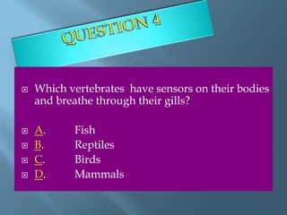    Which vertebrates have sensors on their bodies
    and breathe through their gills?

   A.     Fish
   B.     Reptiles
   C.     Birds
   D.     Mammals
 
