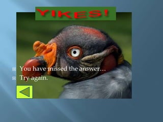    You have missed the answer…
   Try again.
 