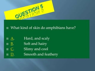    What kind of skin do amphibians have?

   A.     Hard, and scaly
   B.     Soft and hairy
   C.     Slimy and cool
   D.     Smooth and feathery
 