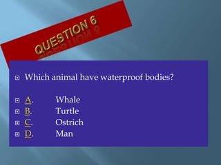    Which animal have waterproof bodies?

   A.     Whale
   B.     Turtle
   C.     Ostrich
   D.     Man
 
