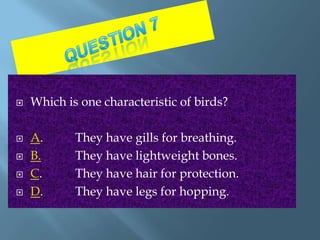    Which is one characteristic of birds?

   A.      They have gills for breathing.
   B.      They have lightweight bones.
   C.      They have hair for protection.
   D.      They have legs for hopping.
 