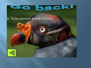    Your answer is not correct.
 