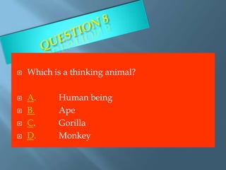    Which is a thinking animal?

   A.     Human being
   B.     Ape
   C.     Gorilla
   D.     Monkey
 