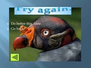    Do better this time.
   Go back.
 