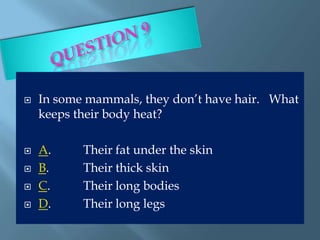    In some mammals, they don’t have hair. What
    keeps their body heat?

   A.     Their fat under the skin
   B.     Their thick skin
   C.     Their long bodies
   D.     Their long legs
 