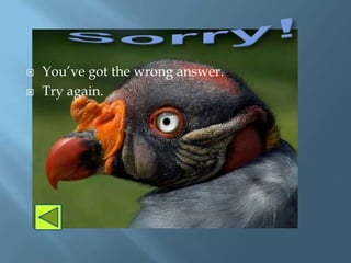    You’ve got the wrong answer.
   Try again.
 