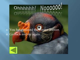    You have missed the correct answer.
   Go back and try again.
 