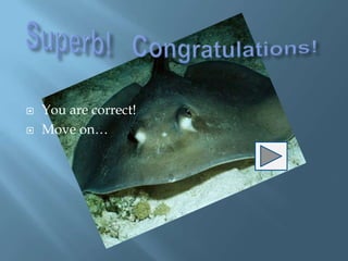    You are correct!
   Move on…
 