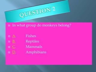    In what group do monkeys belong?

   A.     Fishes
   B.     Reptiles
   C.     Mammals
   D.     Amphibians
 