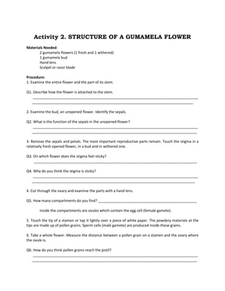 Activity 2. STRUCTURE OF A GUMAMELA FLOWER
Materials Needed:
2 gumamela flowers (1 fresh and 1 withered)
1 gumamela bud
Hand lens
Scalpel or razor blade
Procedure:
1. Examine the entire flower and the part of its stem.
Q1. Describe how the flower is attached to the stem.
__________________________________________________________________________________
________________________________________________________________________________
2. Examine the bud, an unopened flower. Identify the sepals.
Q2. What is the function of the sepals in the unopened flower?
__________________________________________________________________________________
__________________________________________________________________________________
3. Remove the sepals and petals. The most important reproductive parts remain. Touch the stigma in a
relatively fresh opened flower, in a bud and in withered one.
Q3. On which flower does the stigma feel sticky?
_________________________________________________________________________________
Q4. Why do you think the stigma is sticky?
__________________________________________________________________________________
_________________________________________________________________________________
4. Cut through the ovary and examine the parts with a hand lens.
Q5. How many compartments do you find? _________________________________________________
Inside the compartments are ovules which contain the egg cell (female gamete).
5. Touch the tip of a stamen or tap it lightly over a piece of white paper. The powdery materials at the
tips are made up of pollen grains. Sperm cells (male gamete) are produced inside these grains.
6. Take a whole flower. Measure the distance between a pollen grain on a stamen and the ovary where
the ovule is.
Q6. How do you think pollen grains reach the pistil?
__________________________________________________________________________________
__________________________________________________________________________________
 