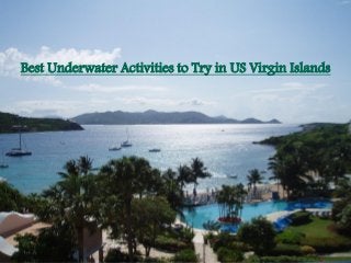 Best Underwater Activities to Try in US Virgin Islands
 