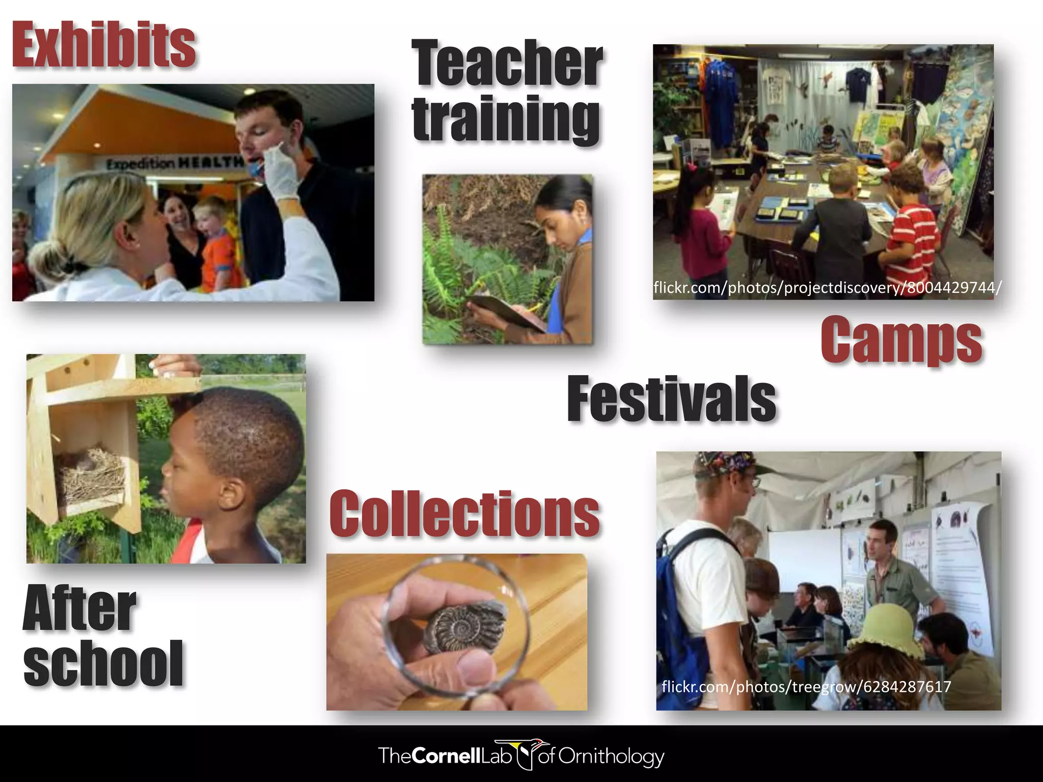 Exhibits      Teacher
              training

                         flickr.com/photos/projectdiscovery/8004429744/


                                              Camps
                    Festivals
           Collections
After
school                    flickr.com/photos/treegrow/6284287617
 