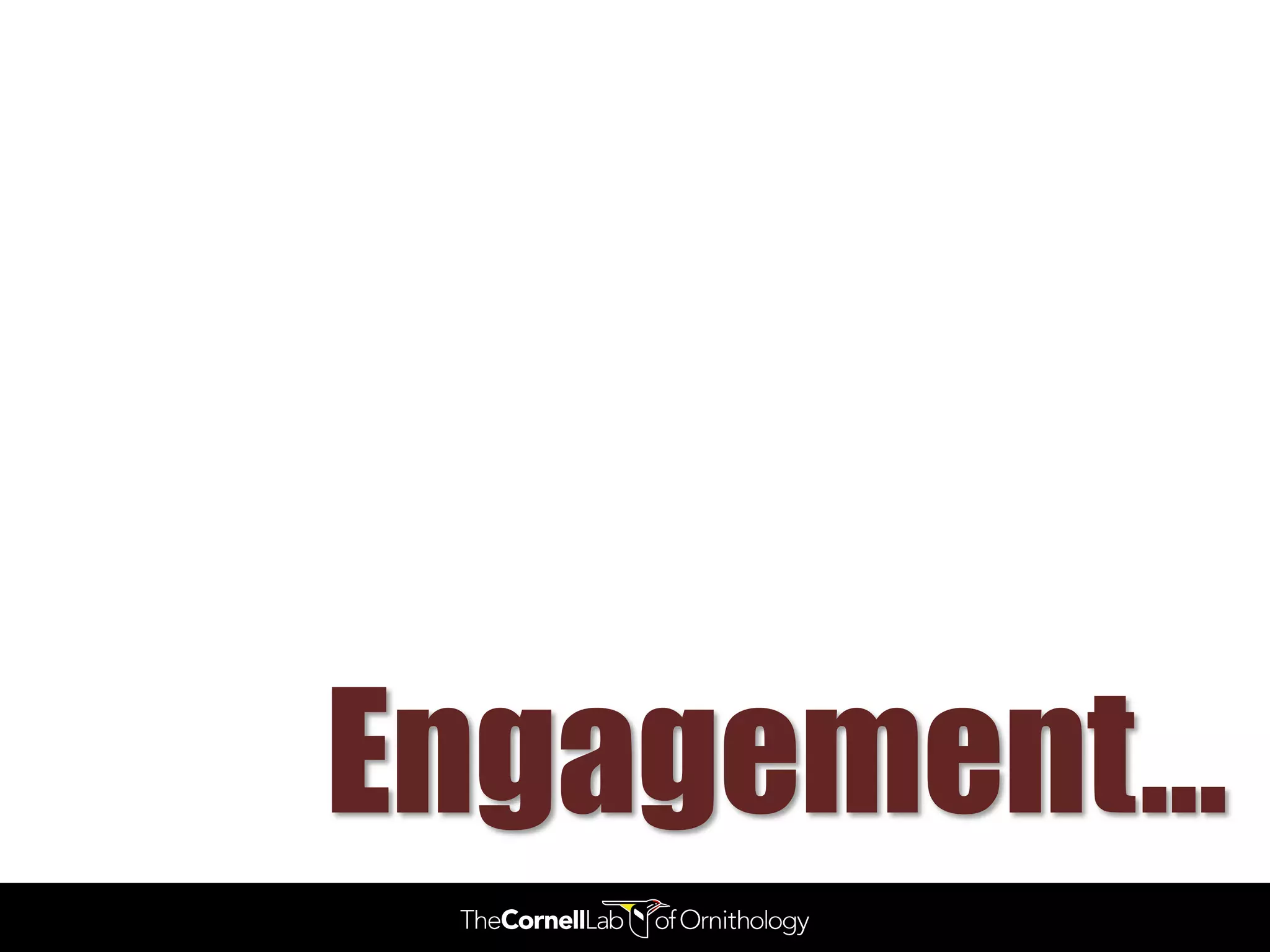 Engagement…
 