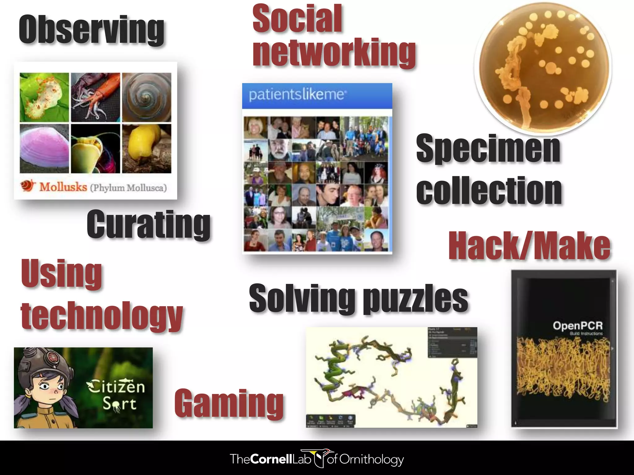 Observing       Social
                networking

                          Specimen
                          collection
    Curating
                              Hack/Make
Using
technology      Solving puzzles

            Gaming
 