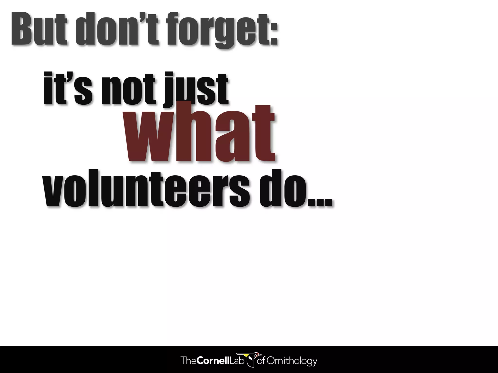 But don’t forget:
 it’s not just
       what
  volunteers do…
 