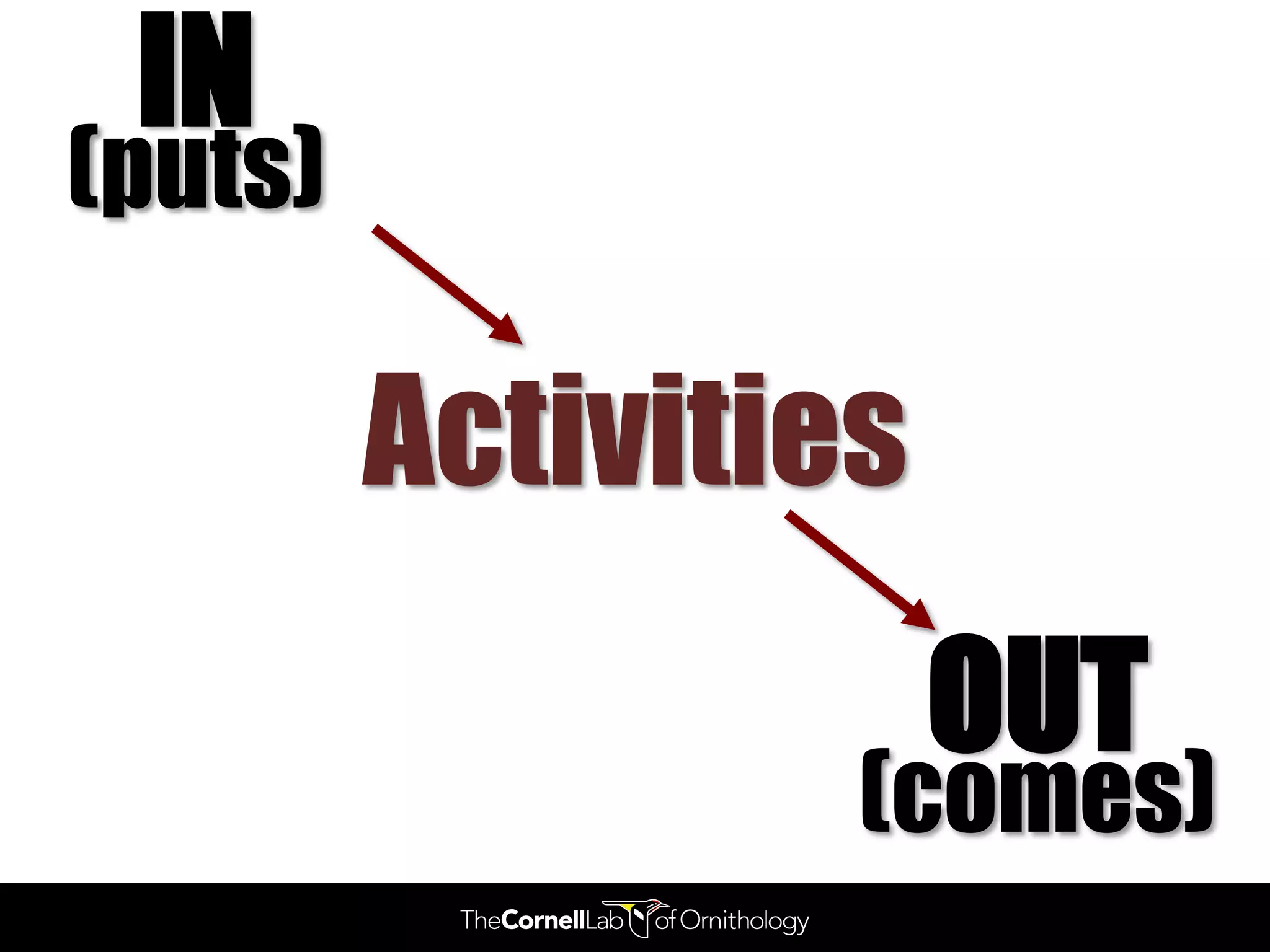 IN
(puts)

         Activities
                      OUT
                  (comes)
 