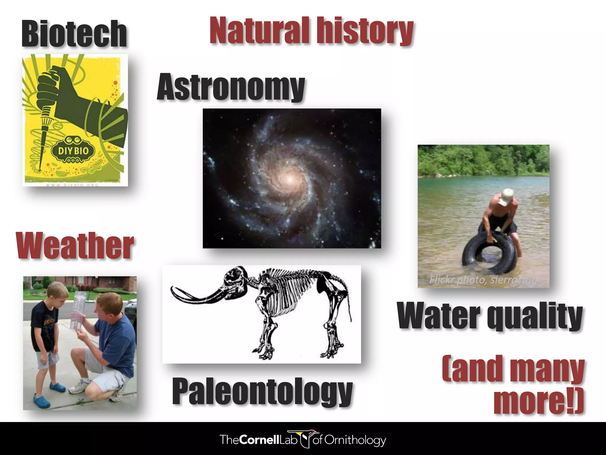 Biotech      Natural history
          Astronomy



Weather
                               Flickr photo, sierraclub


                          Water quality
                                 (and many
          Paleontology              more!)
 