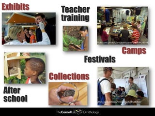 Exhibits      Teacher
              training

                         flickr.com/photos/projectdiscovery/8004429744/


                                              Camps
                    Festivals
           Collections
After
school                    flickr.com/photos/treegrow/6284287617
 