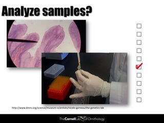 Analyze samples?




 http://www.dmns.org/science/museum-scientists/nicole-garneau/the-genetics-lab
 