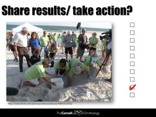 Share results/ take action?




 http://www.flickr.com/photos/usfwssoutheast/4804351953/
 