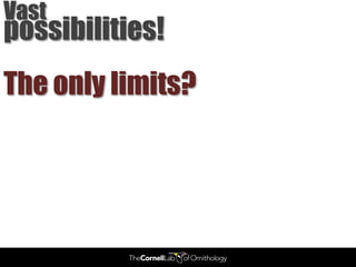 Vast
possibilities!
The only limits?
 