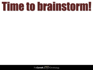 Time to brainstorm!
 