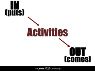 IN
(puts)

         Activities
                      OUT
                  (comes)
 