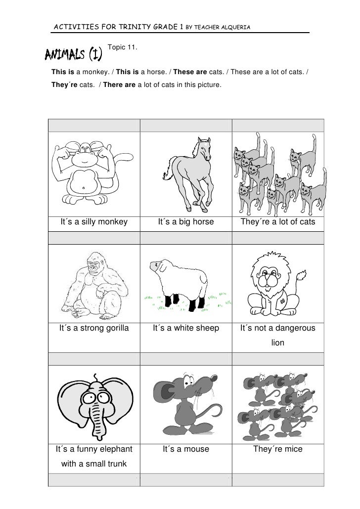 grade 1 no 2 trinity