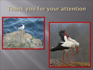 Дейности от януари до април 2014