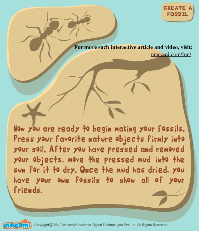 make your own fossil activity