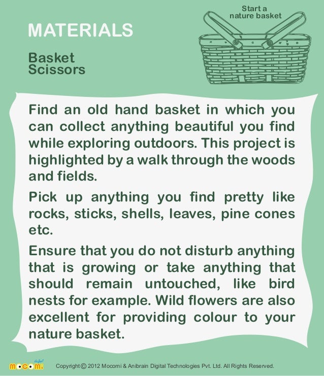 Start a Nature Basket Nature Activity for Kids