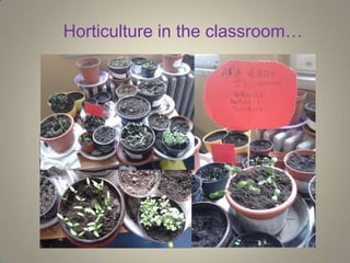 Horticulture in the classroom…
 