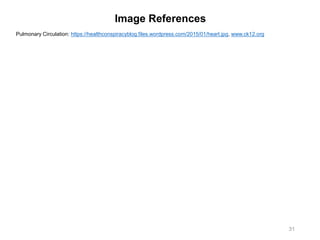Image References
31
Pulmonary Circulation: https://healthconspiracyblog.files.wordpress.com/2015/01/heart.jpg, www.ck12.org
 