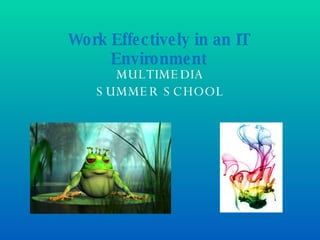 MULTIMEDIA SUMMER SCHOOL Work Effectively in an IT Environment 