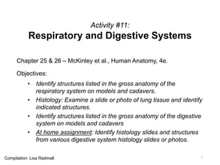 Activity #11:
Respiratory and Digestive Systems
Chapter 25 & 26 – McKinley et al., Human Anatomy, 4e.
Objectives:
• Identify structures listed in the gross anatomy of the
respiratory system on models and cadavers.
• Histology: Examine a slide or photo of lung tissue and identify
indicated structures.
• Identify structures listed in the gross anatomy of the digestive
system on models and cadavers
• At home assignment: Identify histology slides and structures
from various digestive system histology slides or photos.
1Compilation: Lisa Radmall
 