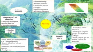 Taxonomy
7
T
A
X
O
N
O
M
I
C
C
A
T
E
G
O
R
I
E
S
M
o
d
e
r
n
T
a
x
o
n
o
m
y
Based on
-Taxonomists study:
-Structural similarities
-Chromosomal structure
(karyotypes)
-Reproductive potential
-Biochemical similarities
Evolutionary
Relationships
Comparing DNA and
amino acids
-Embryology/development
-Breeding behaviour
-Geographic distribution
System
s
5 Kingdoms
(1965)
-Monera, Protista, and Fungi kingdoms added
to the 2 established kingdoms
-Kingdoms defined based on 2 main
characteristics
-Possession of a true nucleus (prokaryote or
eukaryote)
- How it gets food
3-Domain
(1980’s)
-Bacteria have distinct
differences
-All eukaryotic kingdoms
grouped into one domain
(Eukarya)
-Monera kingdom split into 2
domains (Archaea and
Eubacteria)
 