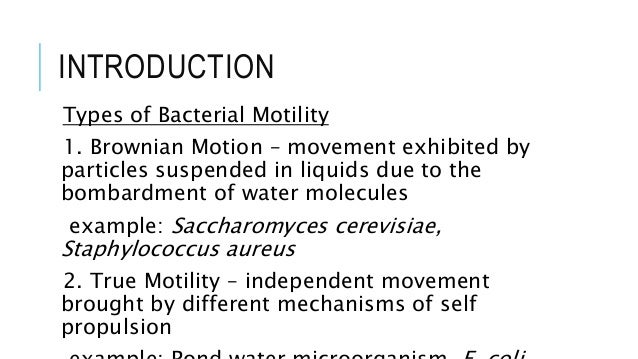 Activity 2 - Determination of Bacterial Motility