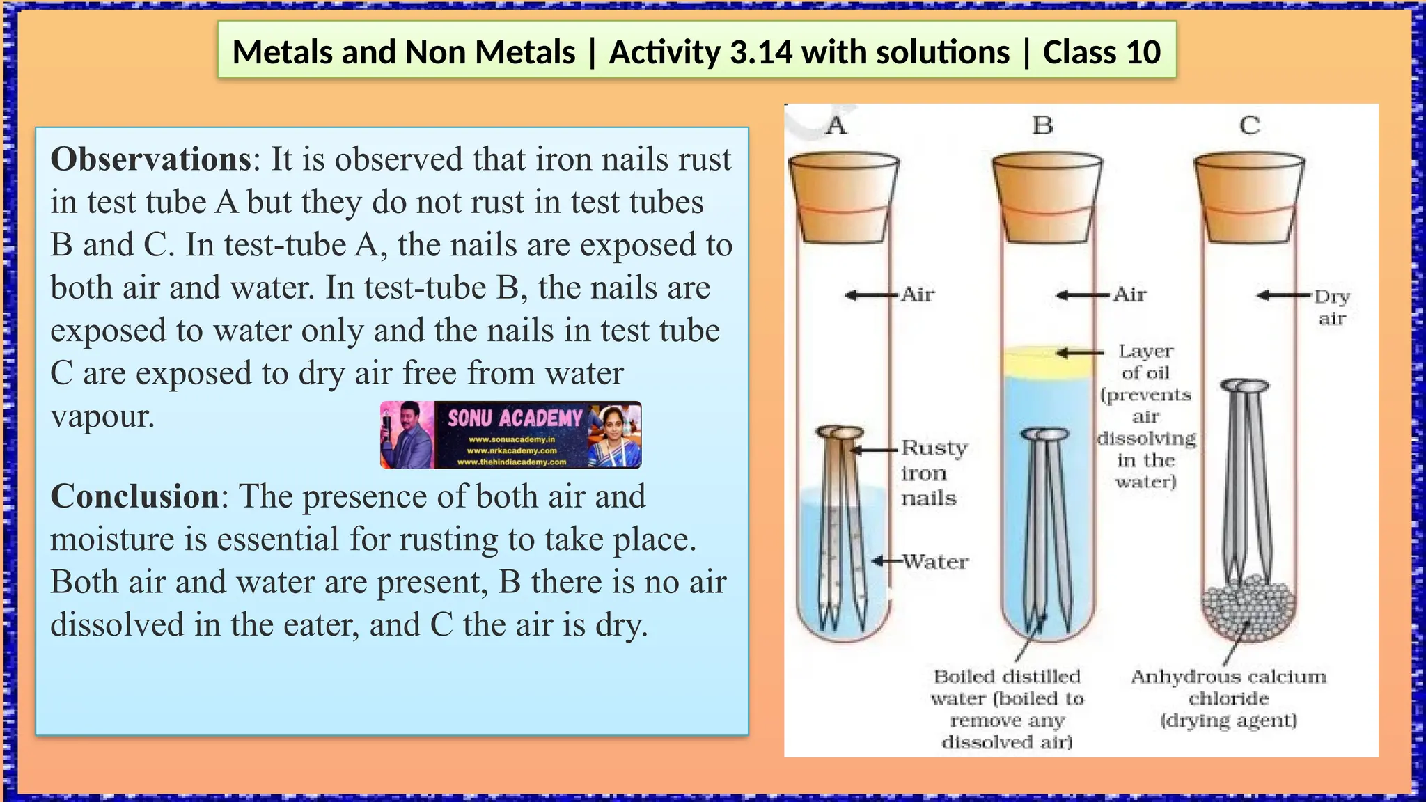 Metals and Non Metals | Activity 3.14 with solutions | Class 10
Observations: It is observed that iron nails rust
in test tube A but they do not rust in test tubes
B and C. In test-tube A, the nails are exposed to
both air and water. In test-tube B, the nails are
exposed to water only and the nails in test tube
C are exposed to dry air free from water
vapour.
Conclusion: The presence of both air and
moisture is essential for rusting to take place.
Both air and water are present, B there is no air
dissolved in the eater, and C the air is dry.
 