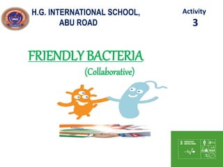 H.G. INTERNATIONAL SCHOOL,
ABU ROAD
Activity
3
FRIENDLY BACTERIA
(Collaborative)
 