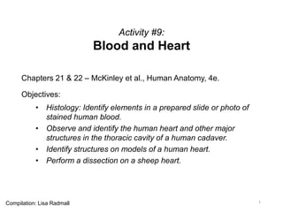 Activity #9:
Blood and Heart
Chapters 21 & 22 – McKinley et al., Human Anatomy, 4e.
Objectives:
• Histology: Identify elements in a prepared slide or photo of
stained human blood.
• Observe and identify the human heart and other major
structures in the thoracic cavity of a human cadaver.
• Identify structures on models of a human heart.
• Perform a dissection on a sheep heart.
1Compilation: Lisa Radmall
 
