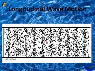 Longitudinal Wave Motion 
 