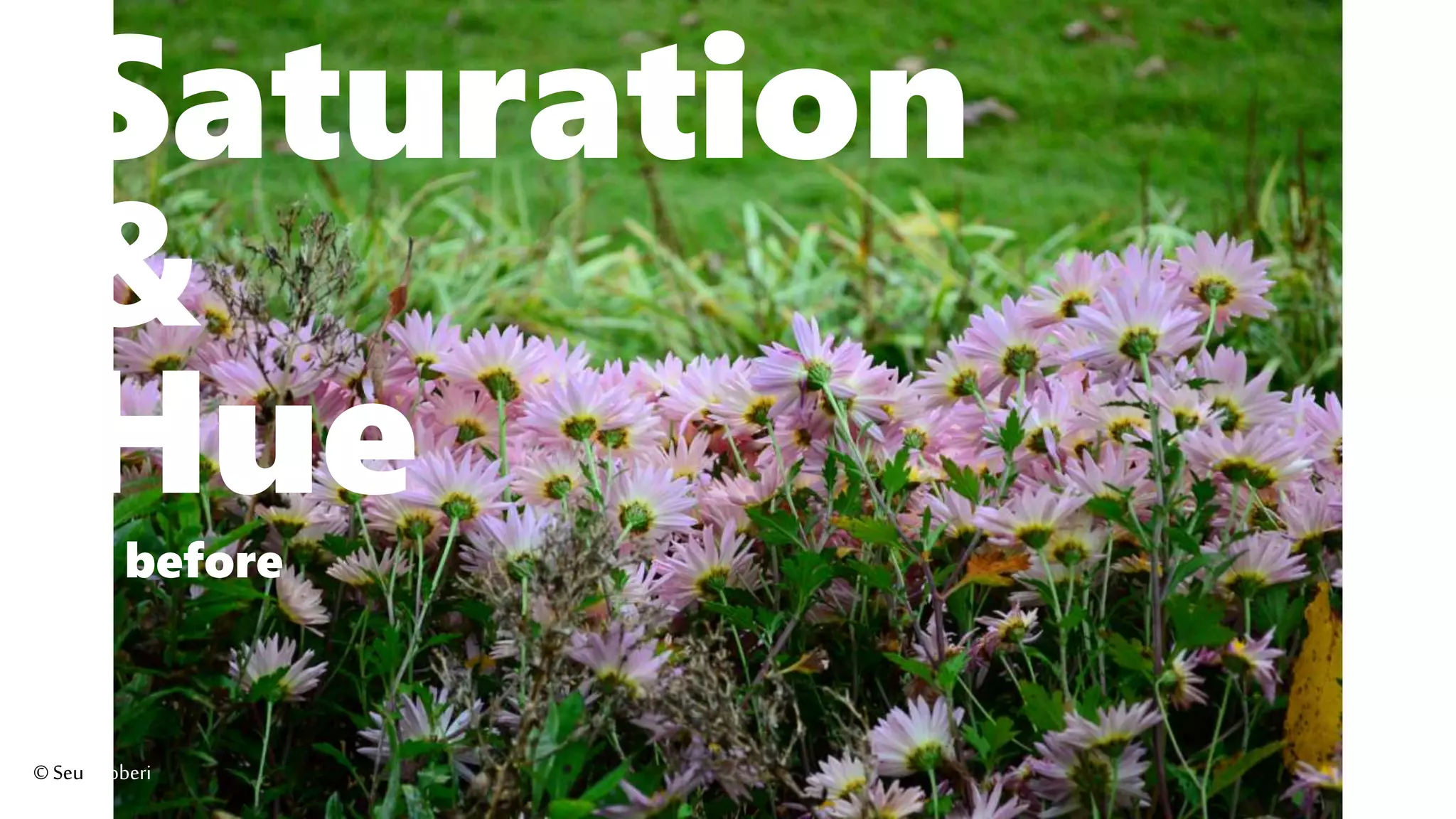 Saturation
&
Huebefore
©Seutoroberi