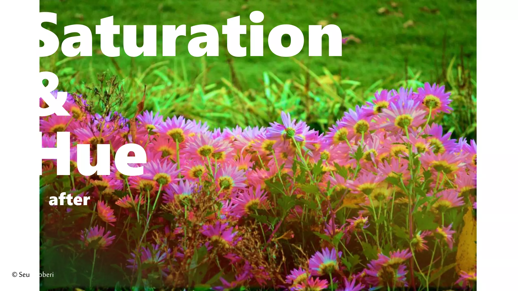 Saturation
&
Hueafter
©Seutoroberi