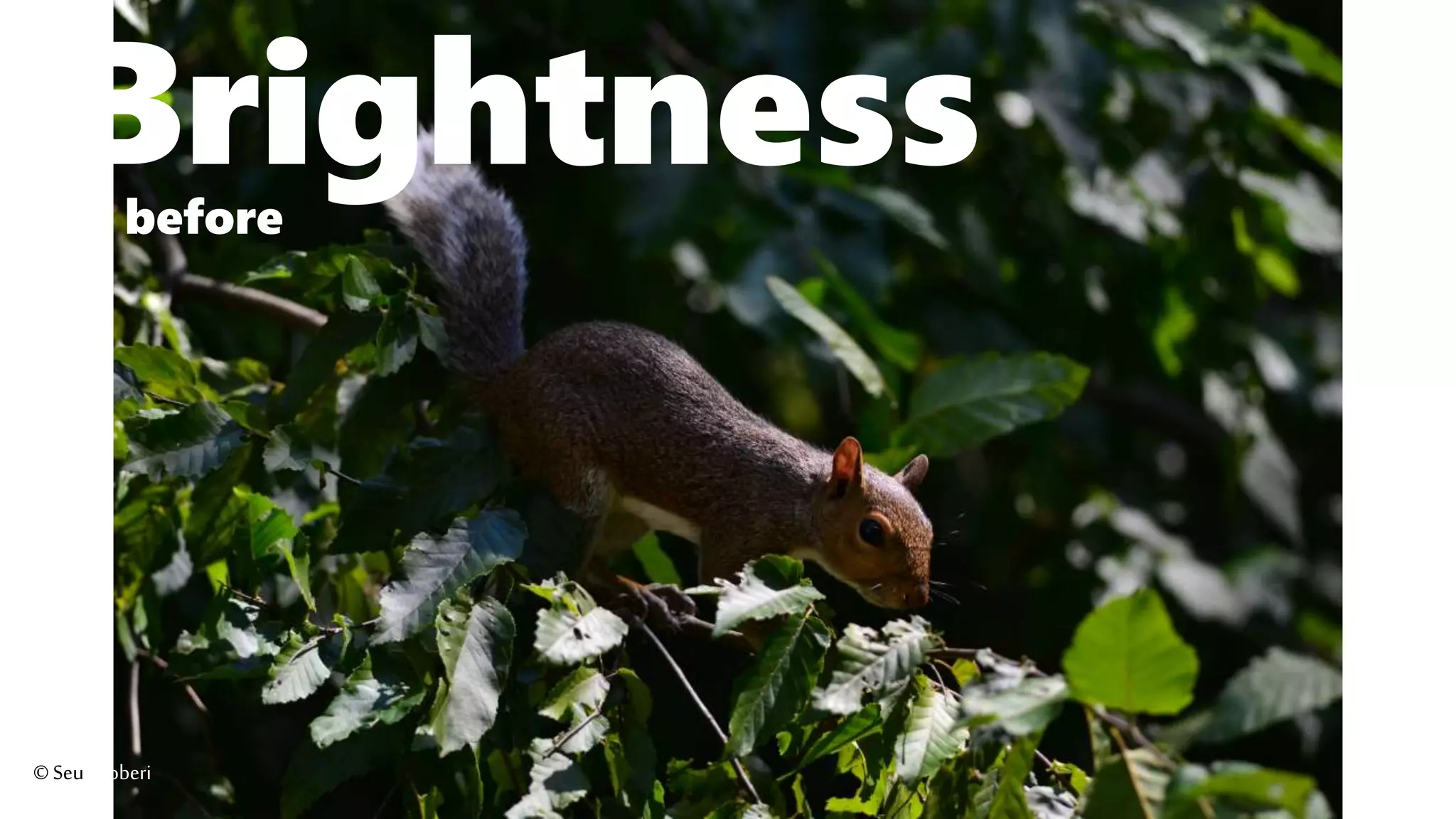 Brightnessbefore
©Seutoroberi